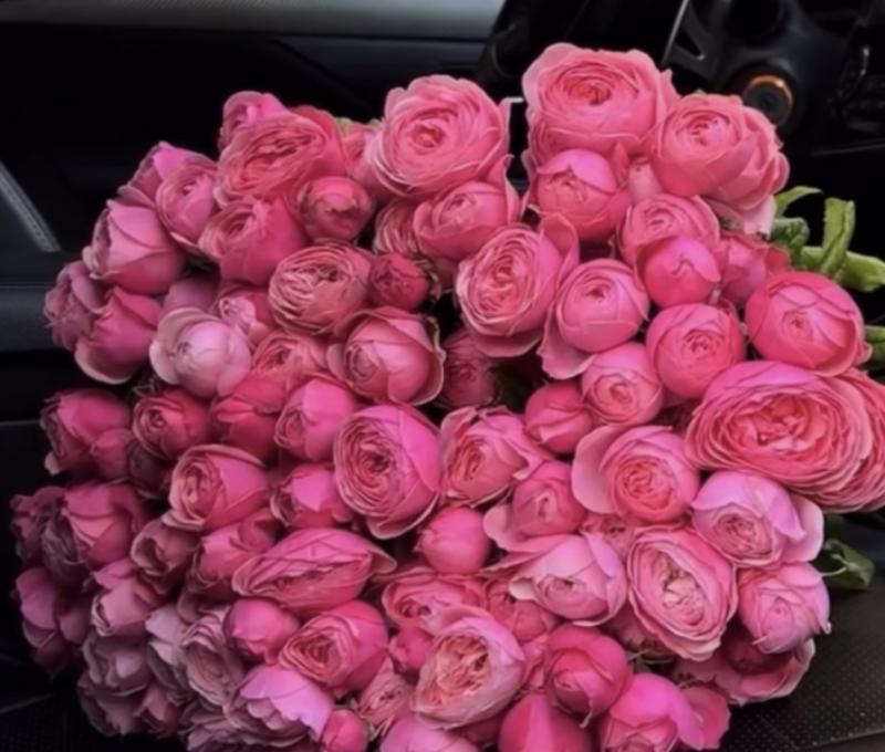 Кустовая роза Жизель 