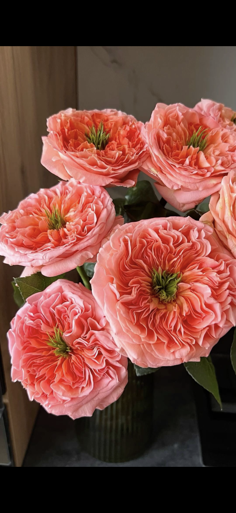 Роза «Мандарин»