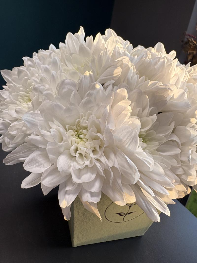 Облако из хризантем 