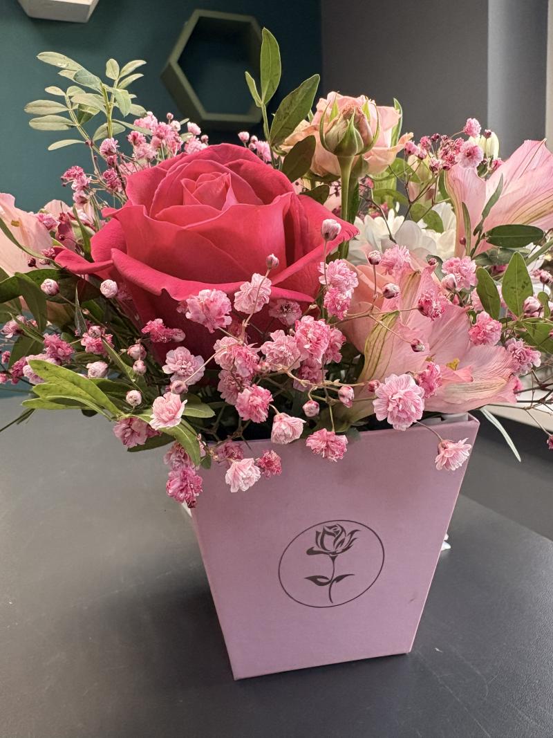 Нежный розовый 🦩 