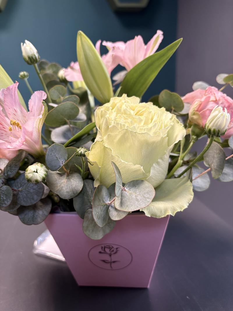 Зелено-розовая нежность 